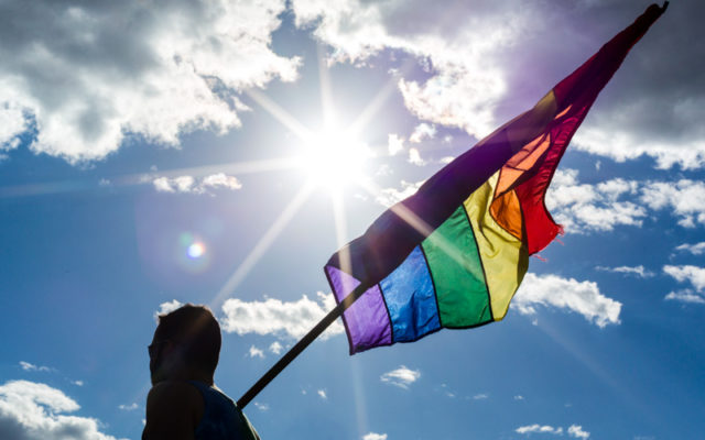 Bandeira do ativismo gay