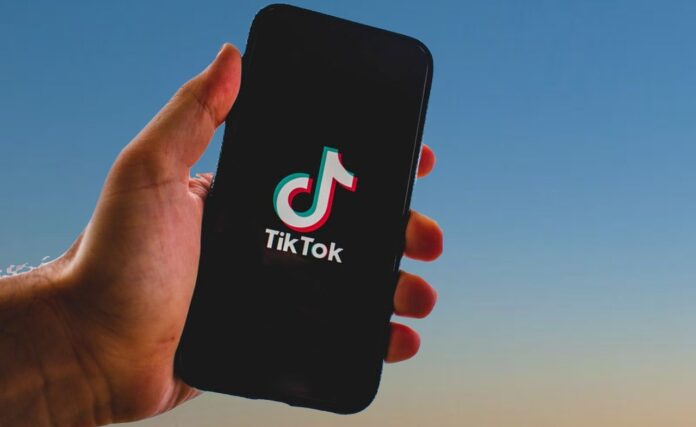 Mão segurando um smartphone com a logo do TikTok (Foto: canva)