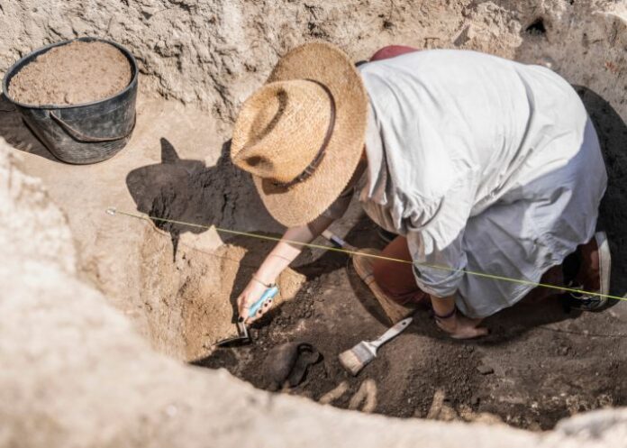 Arqueólogo durante escavação (Foto: Canva Pro)